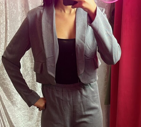 VESTE TAILLEUR SONIA GRISE