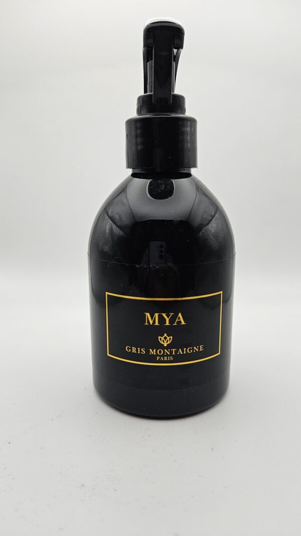 SPRAY TEXTILE ET INTERIEUR "MYA" GRIS MONTAIGNE